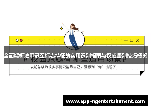 全面解析法甲冠军标志特征的实用识别指南与权威鉴别技巧概览